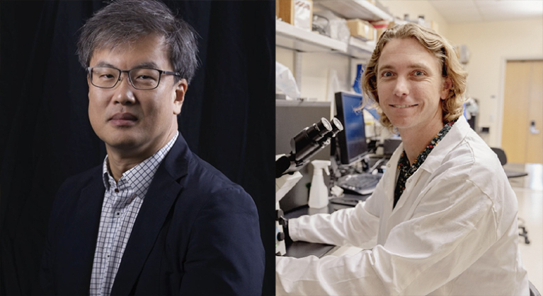 Hawaii Researchers Selected for I-RED ASCEND2.0 Program to Advance Food Preservation and Biologic Medicine Innovations